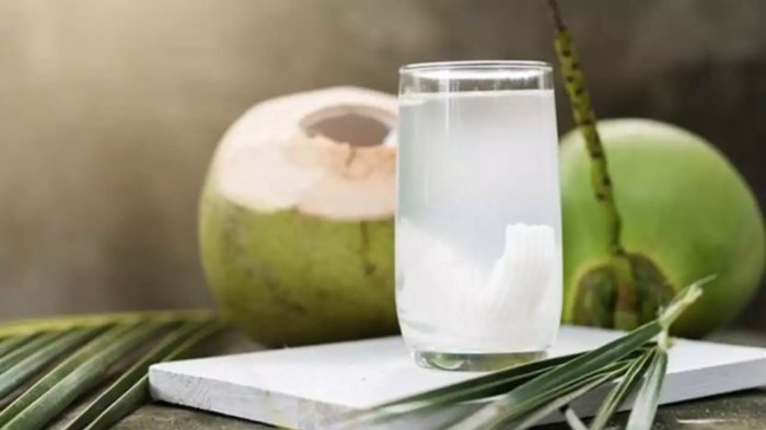 Coconut water health tender benefits netmeds reasons should why summer hop