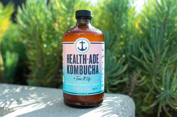 Apa saja Manfaat Kombucha Bagi Kesehatan