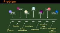 Antibiotic mechanisms antibiotics bacteria perspectives