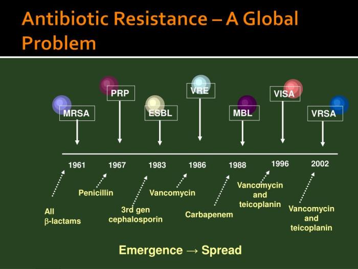 Antibiotic mechanisms antibiotics bacteria perspectives