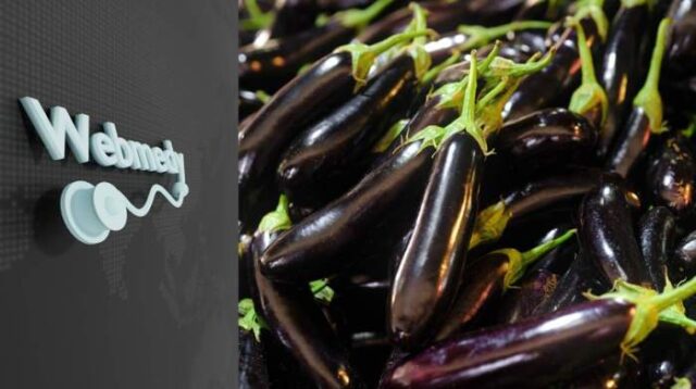 Eggplant eggplants nutrition healthline calorie