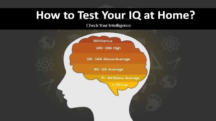 Cara Mengetahui IQ anak