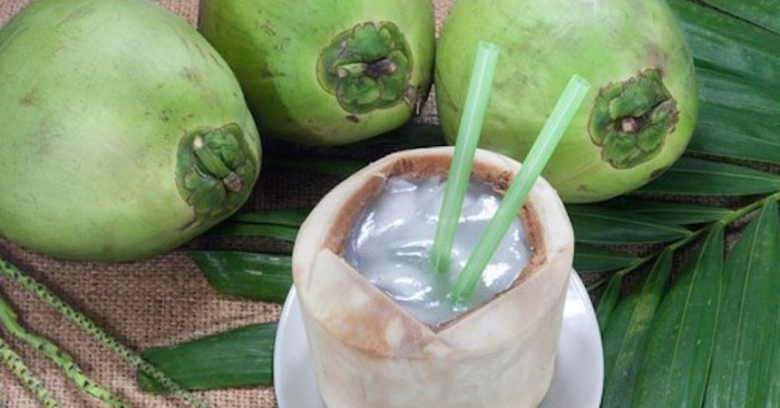 Mengapa Panyakit Ginjal tidak disarankan Minum Air Kelapa Muda